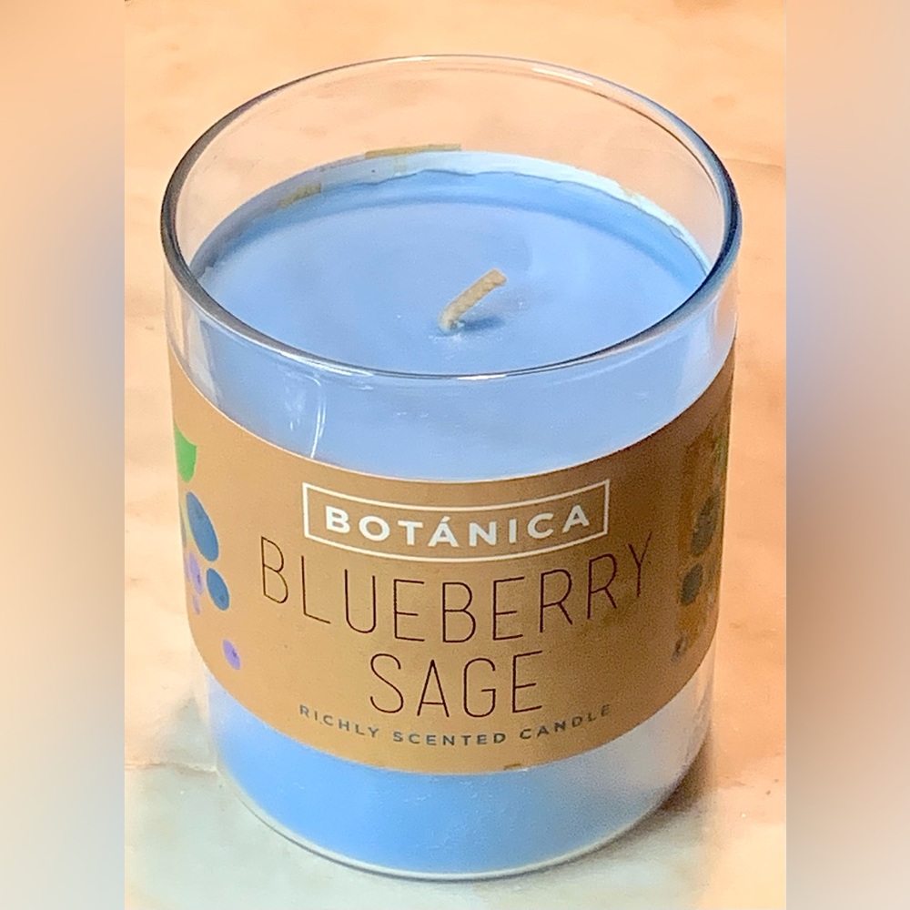 DW HOME CANDLE BLUEBERRY SAGE BOTANICAL 1 WICK NEW 8.8oz